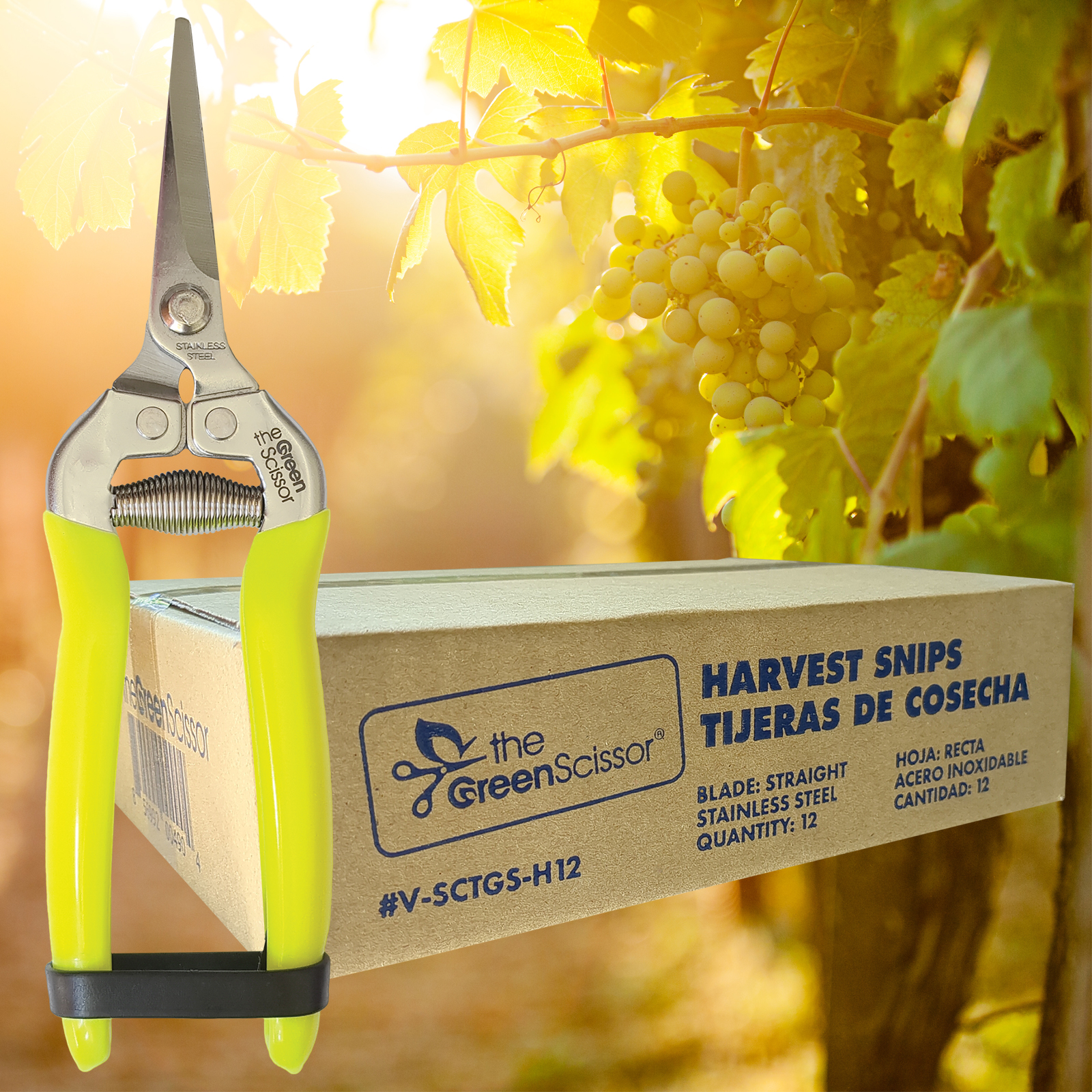 Spear & Jackson Ladies Lime Green Pruning Snips – 5641G, Small Garden Hand Pruners